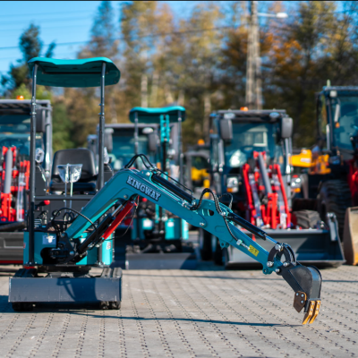 Zrzut Ekranu 2026 02 02 131621